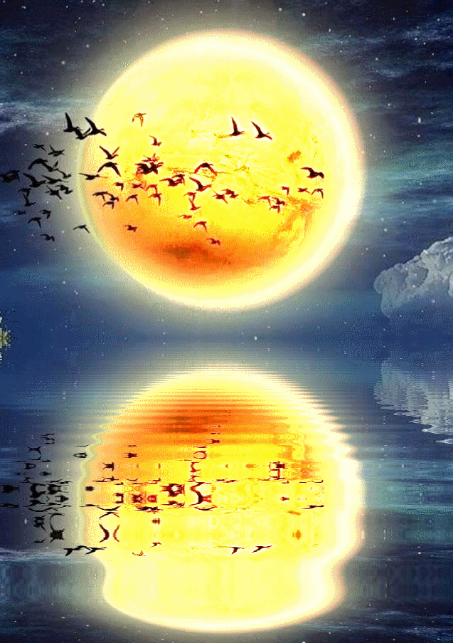 SÓ GIFs. ╬╬ ╬╬ ╬╬ ╬╬ ╬╬ Encanto do Luar...