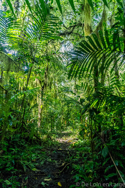 Trek du Lac Tamblingan - Bali