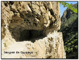 Siguenos en Facebook