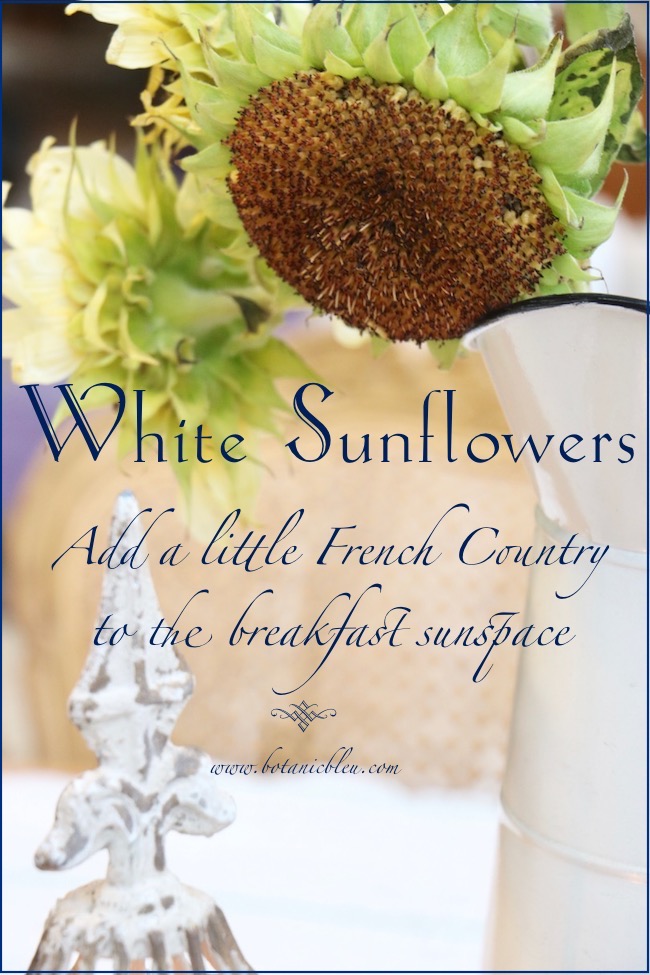 white sunflowers add french country fall to a breakfast sunspace