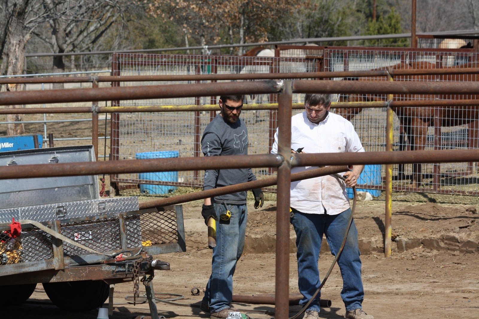 » Phat Cat Welding Traci Davis