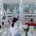 Why Organic Chemistry Is a Separate Discipline?