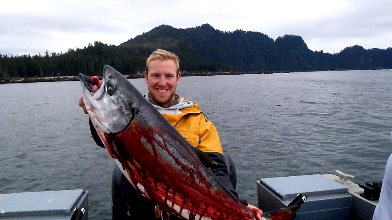 King Salmon Alaska Fishing Lodges Fish Choices