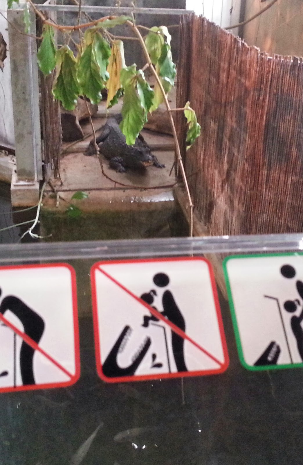 Billions of Versions of Normal 2322 Canadian gator Star Trek toilet