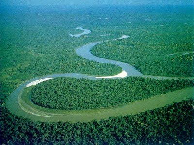 Nature s Wonders Amazon River ~ Big Wave Sharing