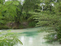 Wanawisata Ciwaringin: Tempat Wisata Alam Menyenangkan dengan Aktivitas Seru di Cirebon Wanawisata Ciwaringin: Tempat Wisata Alam Menyenangkan dengan Aktivitas Seru di Cirebon
