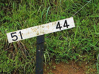 Gradient marker near Rozelle, Sri Lanka