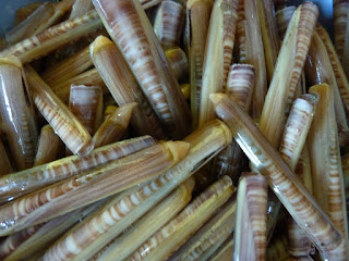 supplier kerang bambu fresh seafood jakarta