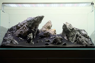 200 Referensi Desain Dan Model Aquascape Berdasarkan Tema https://www.faktapopuler.com/2018/12/200-referensi-desain-dan-model.html