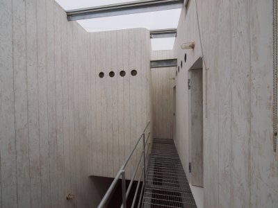 リビングルーム用の植物 - モンステラ