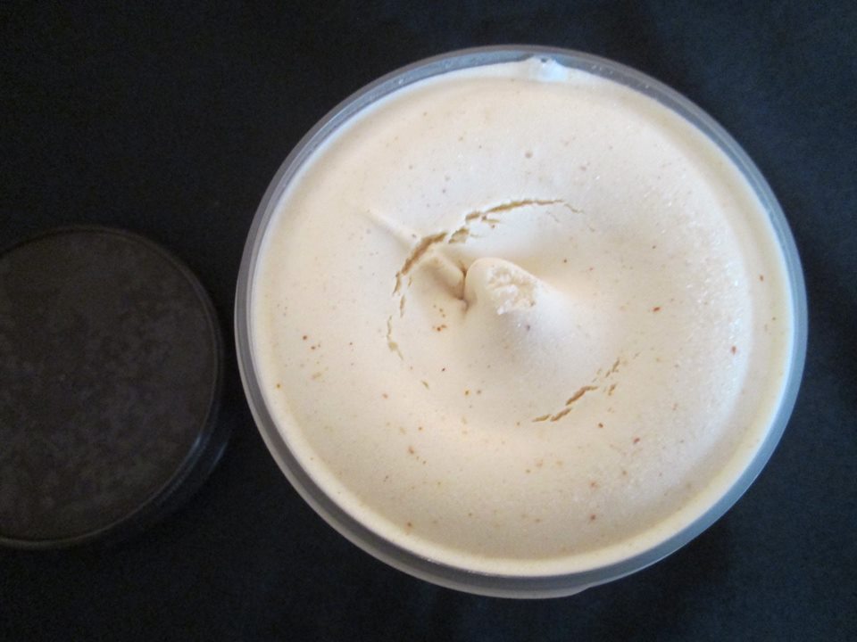 David's Ice Cream Reviews Talenti Peanut Butter Vanilla Fudge