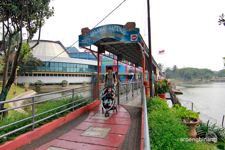 taman akuarium air tawar tmii