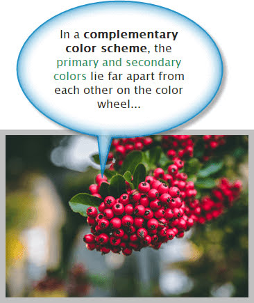 Cherry color fruits with green leaves