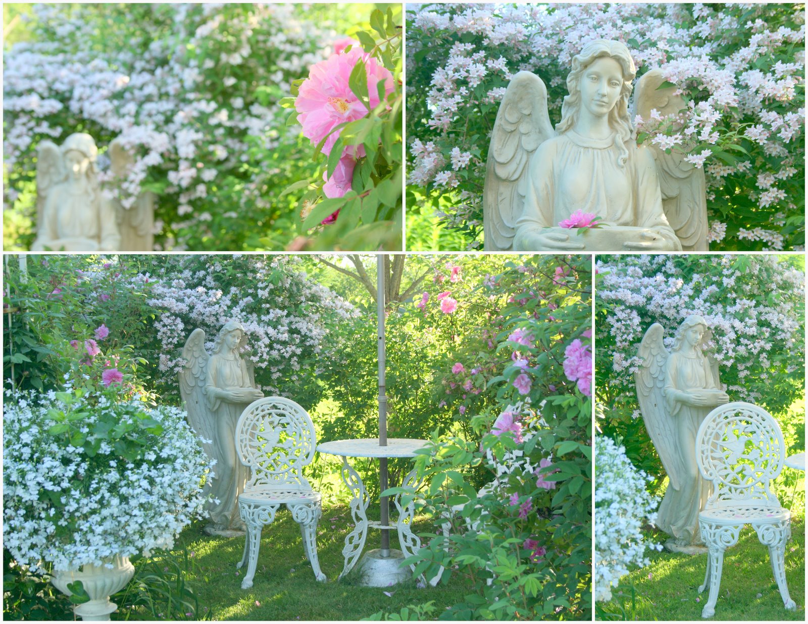 Romantic Rose Garden Real estate, House and Home