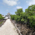 Lamin Lodge, The Gambia