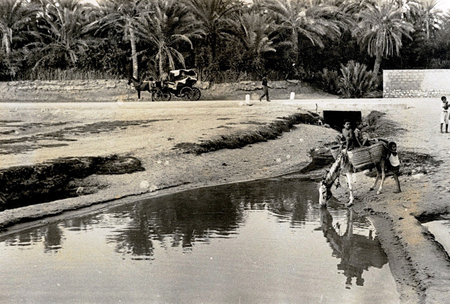 Ma Tunisie: gabes-Vue Générale
