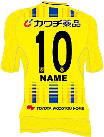 2017年 J3 栃木SC選手実仕様 アウェイ ユニフォーム長袖