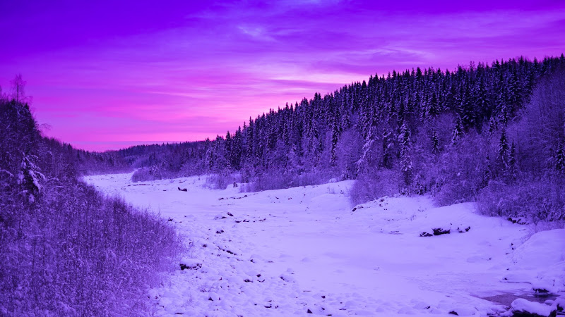 Winter landscape in purple colors