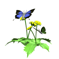 Download 4400 Gambar Animasi Kupu-kupu Untuk Power Point HD Free Downloads Download 4400 Gambar Animasi Kupu-kupu Untuk Power Point HD Free Downloads