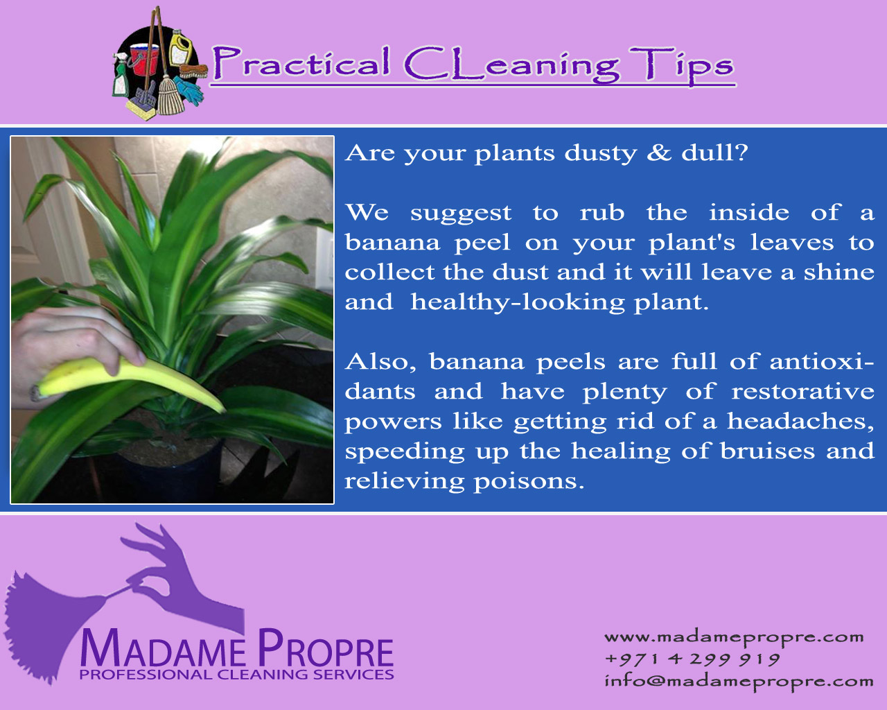 to Madame Propre (Professional Cleaning Services) Usage of