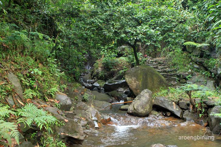 curug cadas ngampar bogor