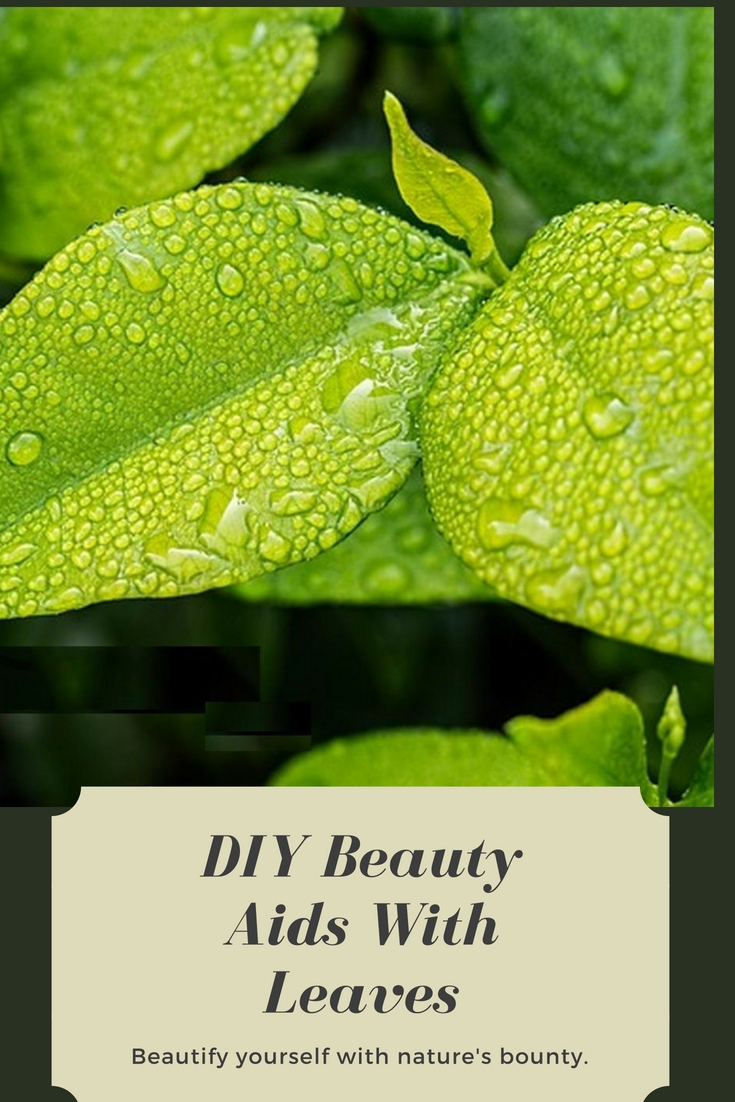 DIY Beauty Aids With Leaves Beauty and Personal Grooming