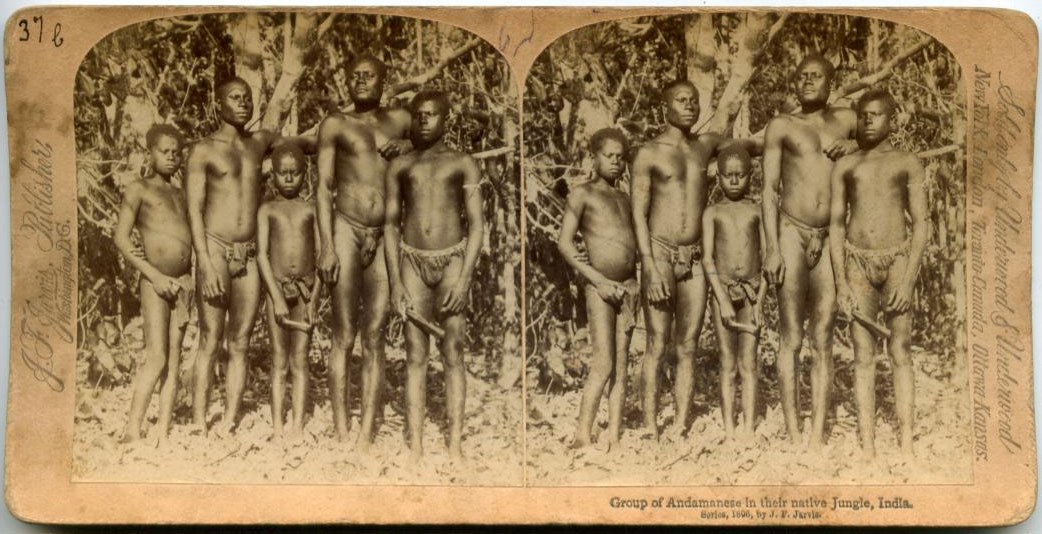 Group of Andamanese in Native Jungle - India 1890's