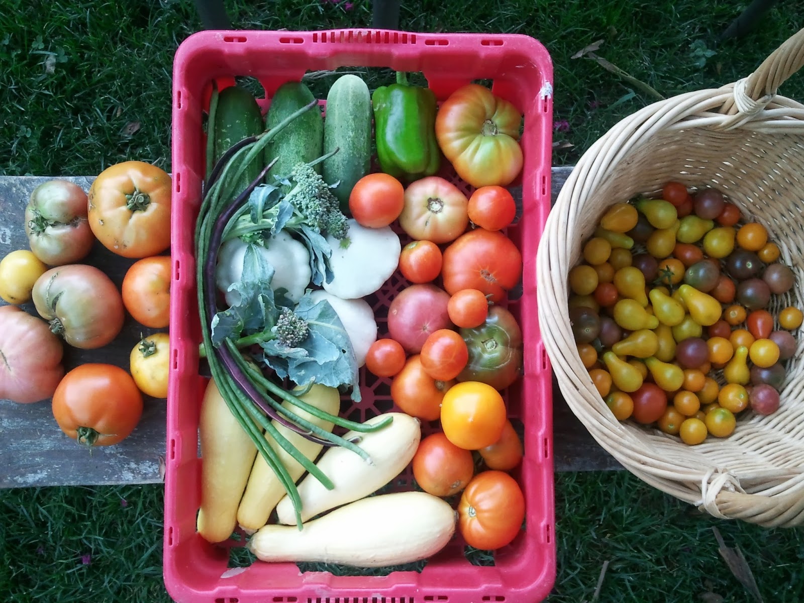 Beware of Rabbits Garden Vegetable MegaBowl