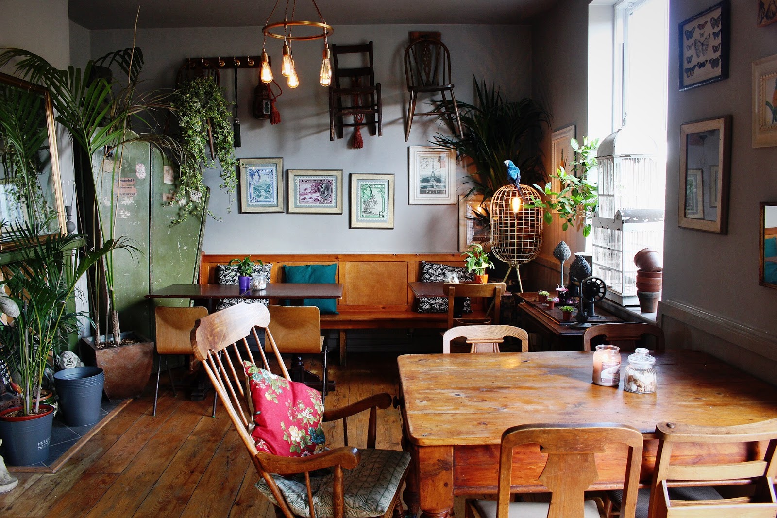 The Sondes Tea House & General Stores Selling Kent The Cafe Cat