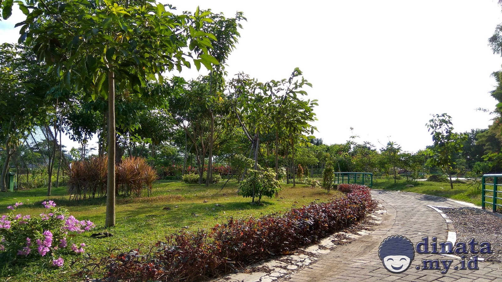 Taman Sakura Keputih Surabaya Taman Pinggiran Surabaya Timur Taman Sakura Keputih Surabaya Taman Pinggiran Surabaya Timur