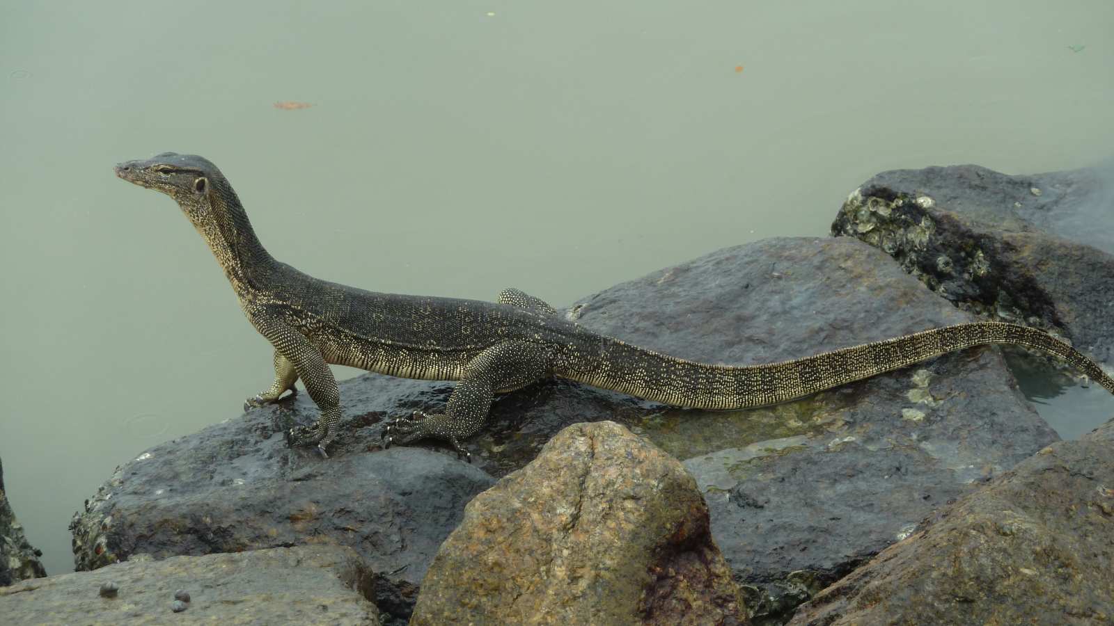 Informations et tips sur la Malaisie et KualaLumpur Visite de Melaka