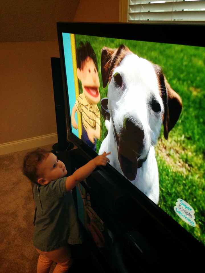 Let s talk with whitneyslp super simple songs animals dvd a product