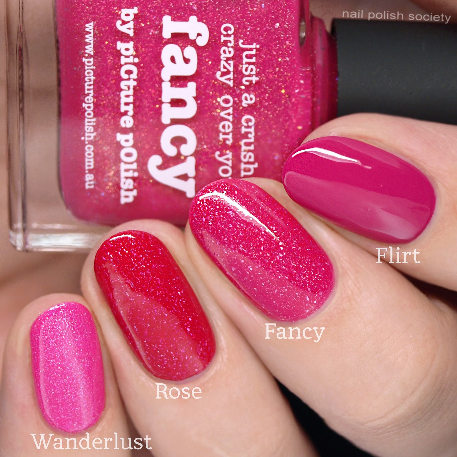 Nail Polish Society piCture pOlish Summer 2018 Release + Comparisons