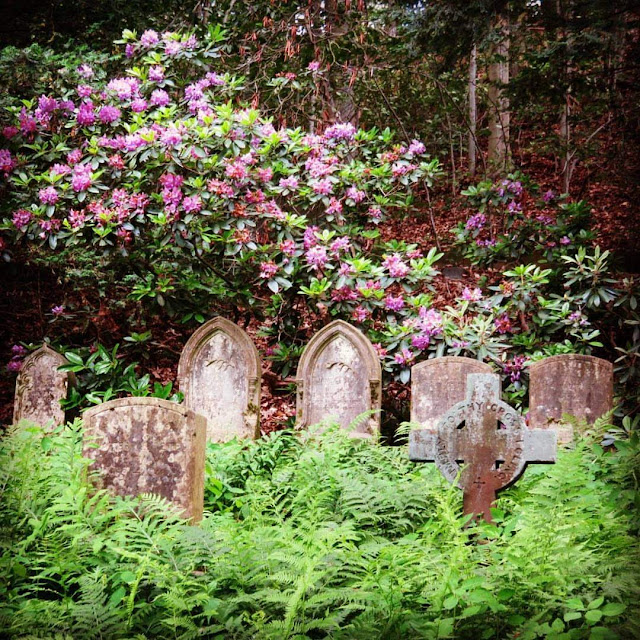 Gravestones at Mount Auburn Cemetery in Cambridge, Massachusetts