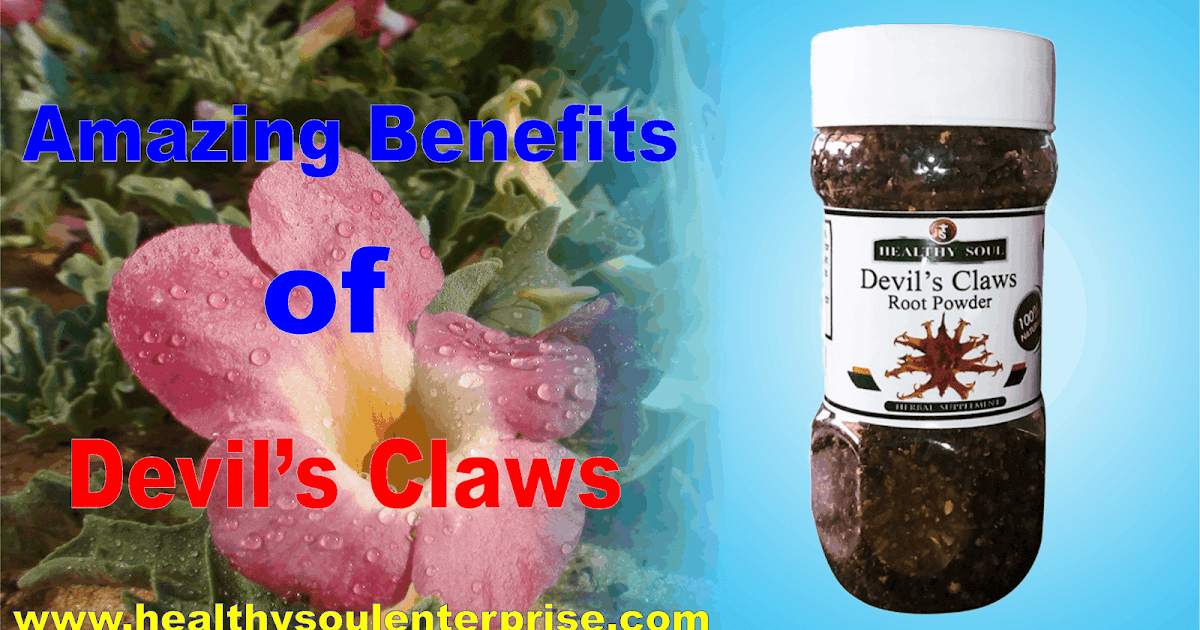The Eight (8) Great Health Benefits of Devil’s Claw Organic Foods Ghana