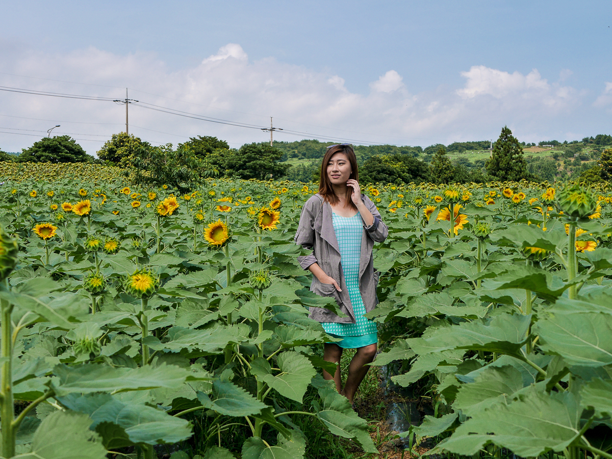 outfit sunflower field jeju korea travel outfits korea sunflower field jeju korea