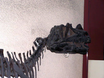 allosaurus and ceratosaurus