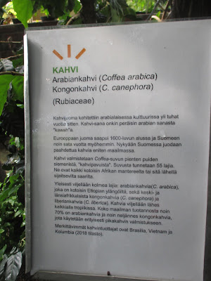 Etiopia suku puoli videoiso kalu menossa pillua