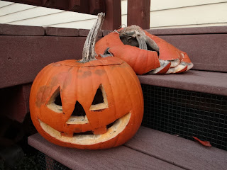 Decaying pumpkins
