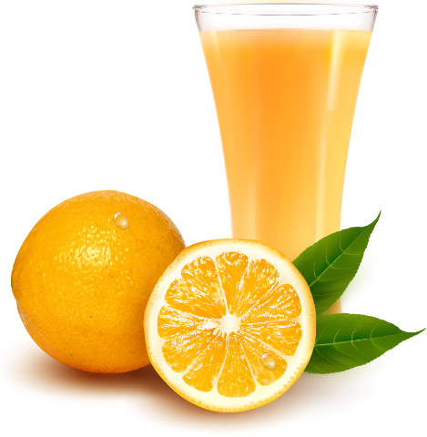 naranjas y zumo vectorial