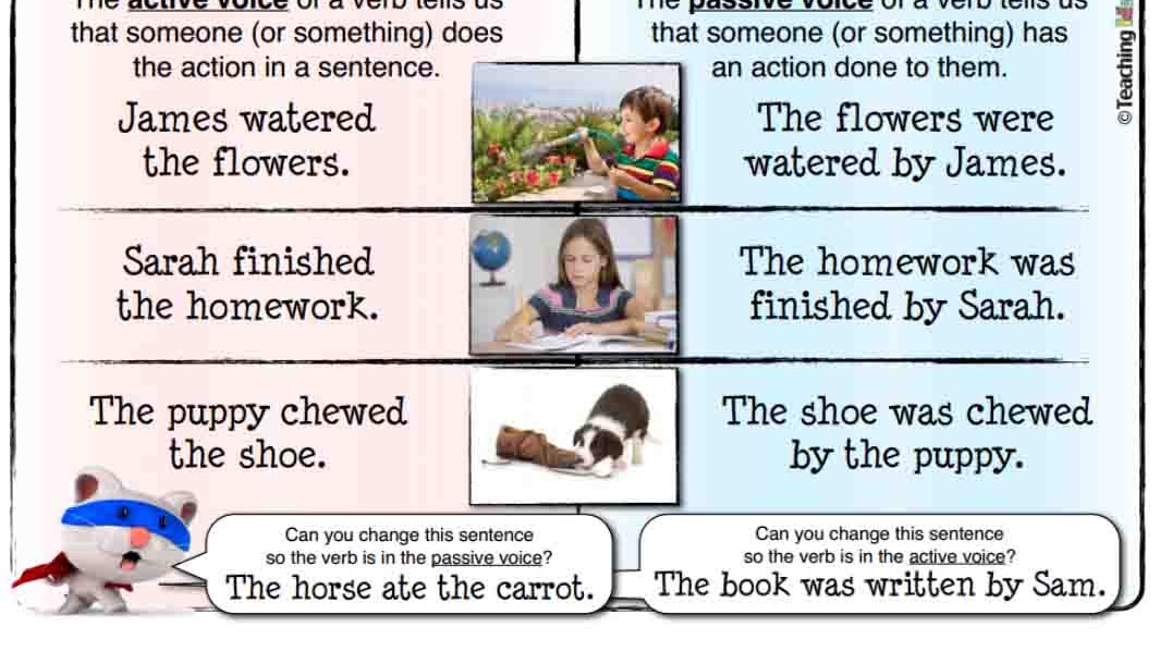 Contoh Soal Past Continuous Tense Pilihan Ganda Dan Jawabannya Contoh Soal Terbaru
