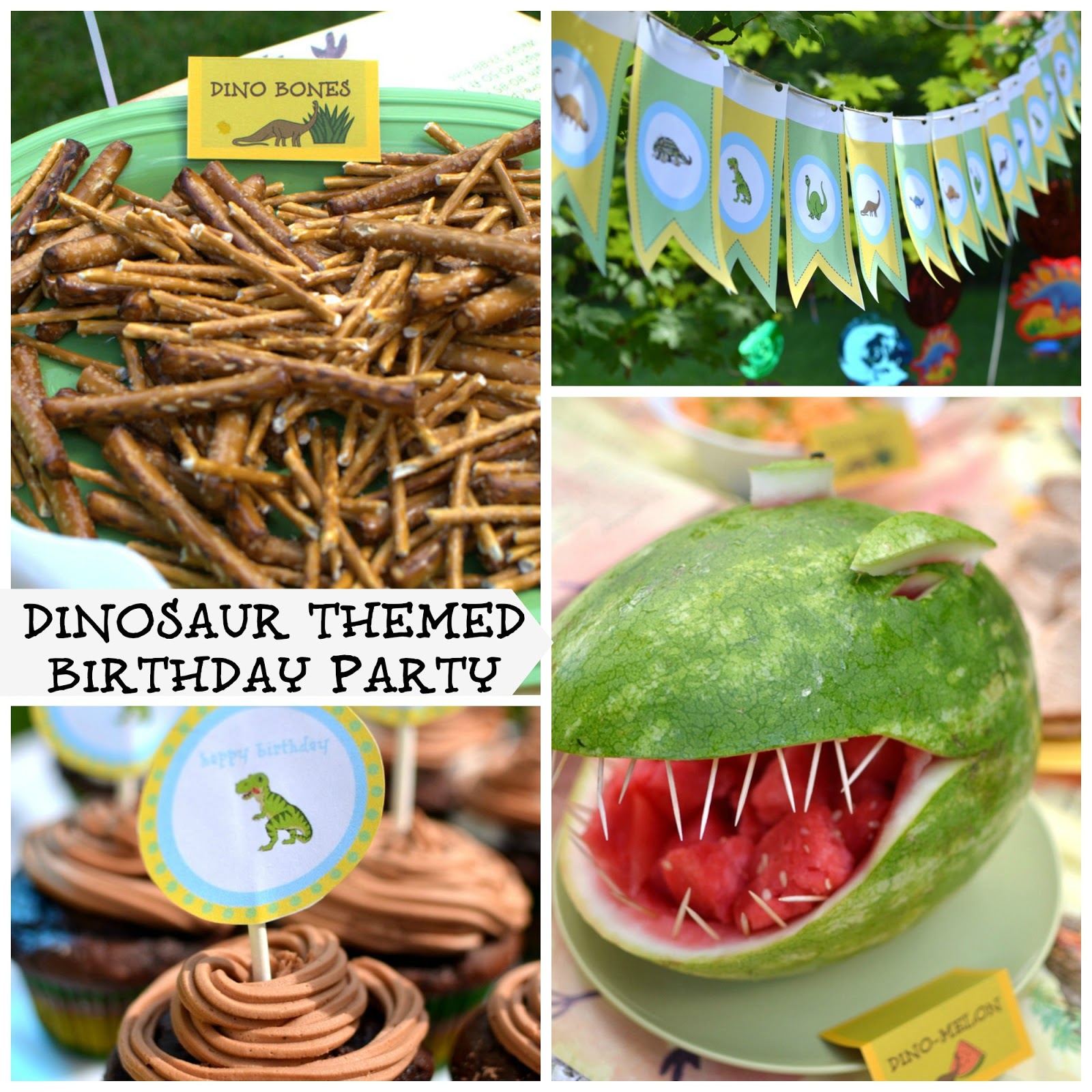 Dinosaur themed party