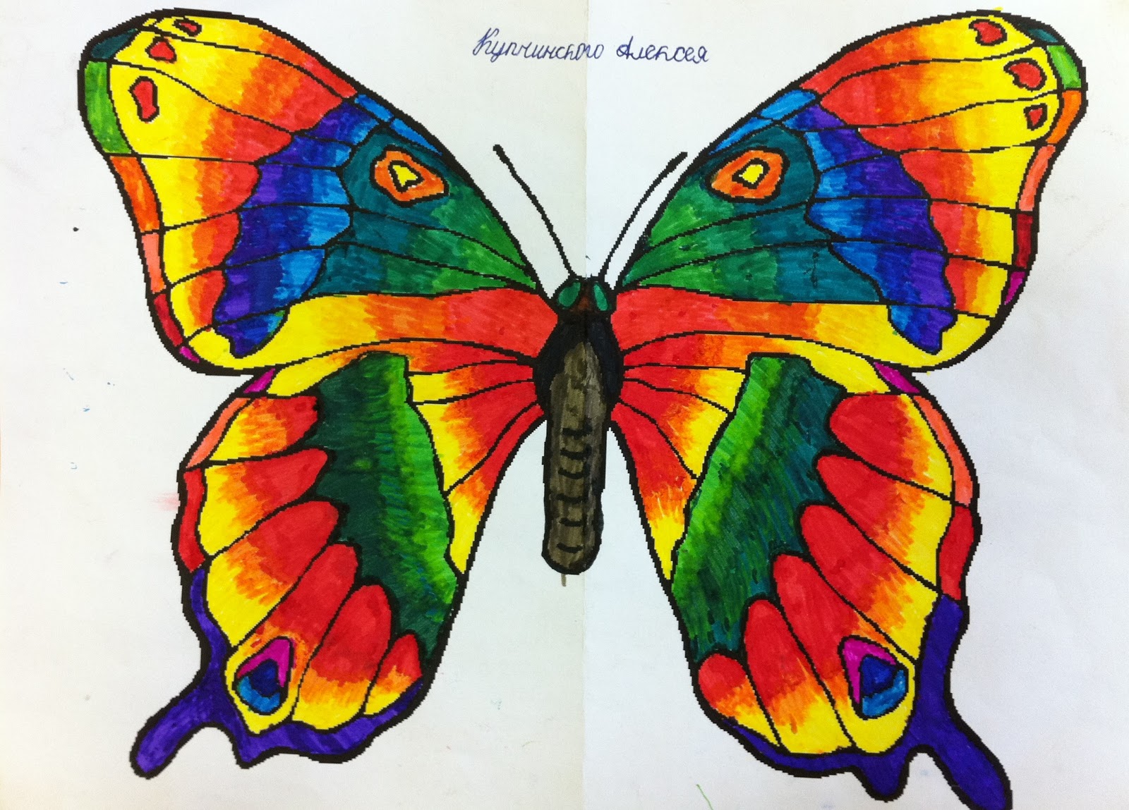 Название рисунков бабочки. Бабочка рисунок. Бабочка цветными карандашами. Рисование бабочки. Рисование бабочки красками.