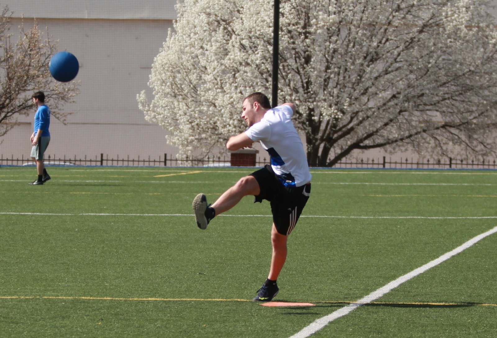 Saint Louis University Program in Physical Therapy 2017 PT STUCO