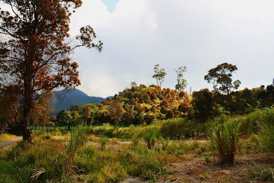 Vegetasi yang berwarna-warni sekitar kawah Talaga Bodas. Vegetasi yang berwarna-warni sekitar kawah Talaga Bodas.