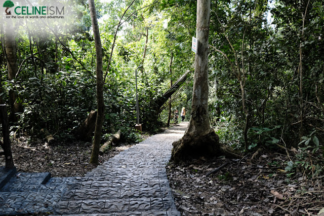 bongao peak in tawi-tawi bongao peak trail
