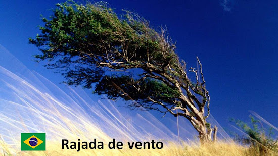 ¿Sabes cuál es la traducción de portugués al español del término "Rajada"?