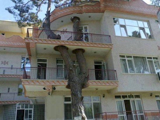 13 Times Humans Respected Mother Nature - This villa in Izmir, Turkey