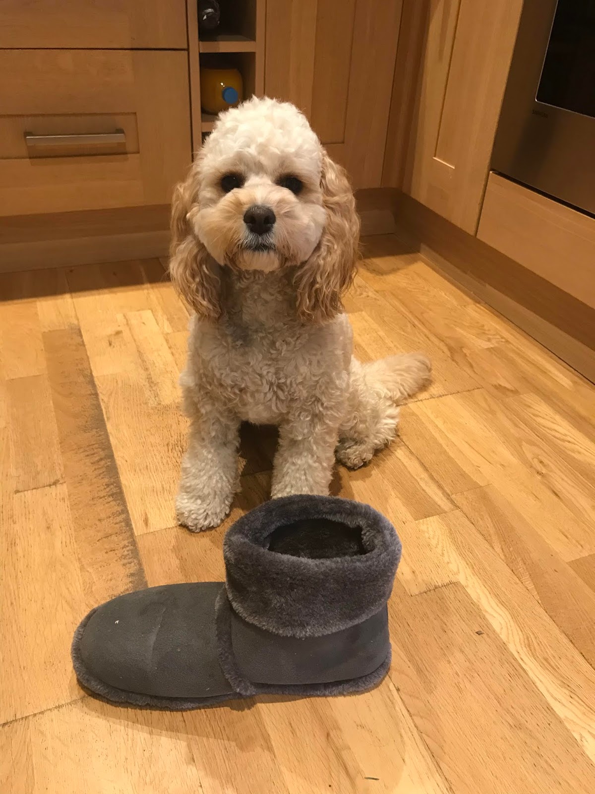 Show me your slippers and Link Up Is This Mutton?