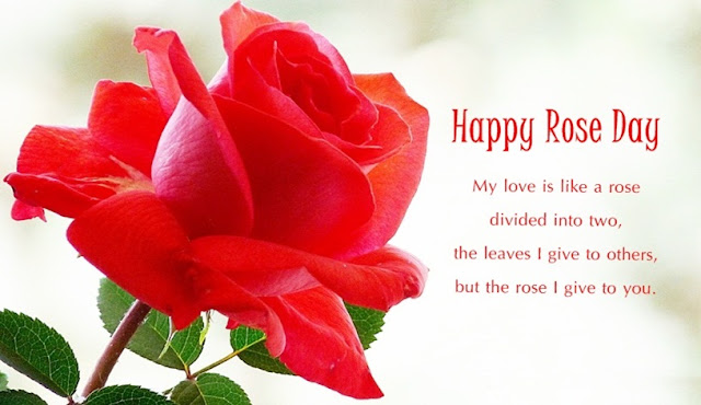Happy Rose Day 2018 HD Images Happy Rose Day 2018 HD Images